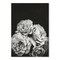 Moody Roses by Chaos &#x26; Wonder Design  Poster Art Print - Americanflat